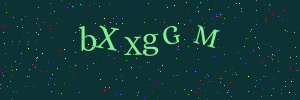 Validation image
